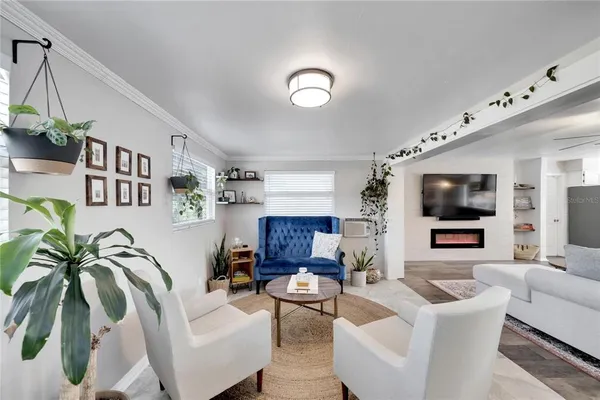 a living room with furniture and a potted plant