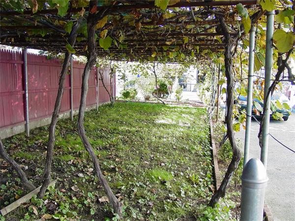 210 4th Street Fall River, MA 02721 - Photo 5 of 27 a backyard of a house with lots of green space