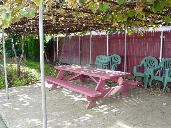 210 4th Street Fall River, MA 02721 - Photo 8 of 27 a view of outdoor space yard and patio