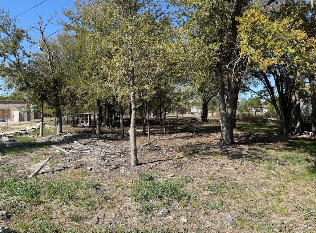 699 South Cotrell Bartlett, TX 76511 - Photo 4 of 13 a backyard of a house with lots of green space
