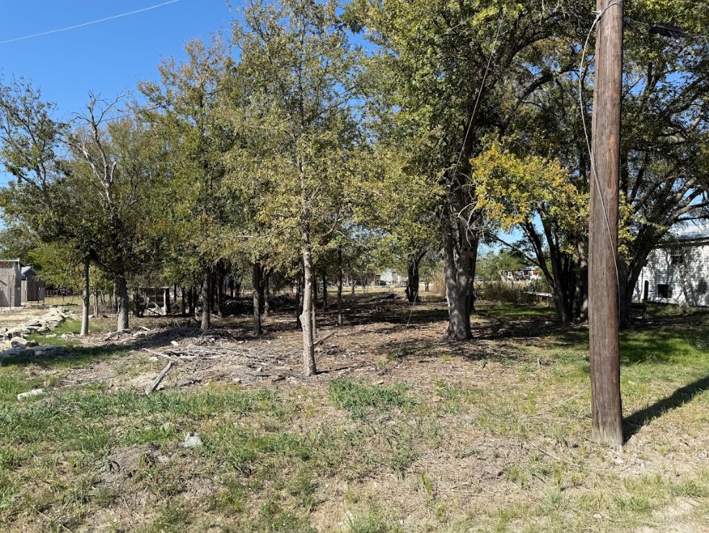 699 South Cotrell Bartlett, TX 76511 - Photo 5 of 13 a backyard of a house with lots of green space