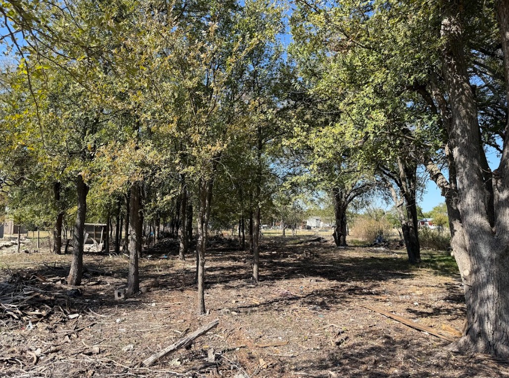 699 South Cotrell Bartlett, TX 76511 - Photo 6 of 13 a view of park with tree