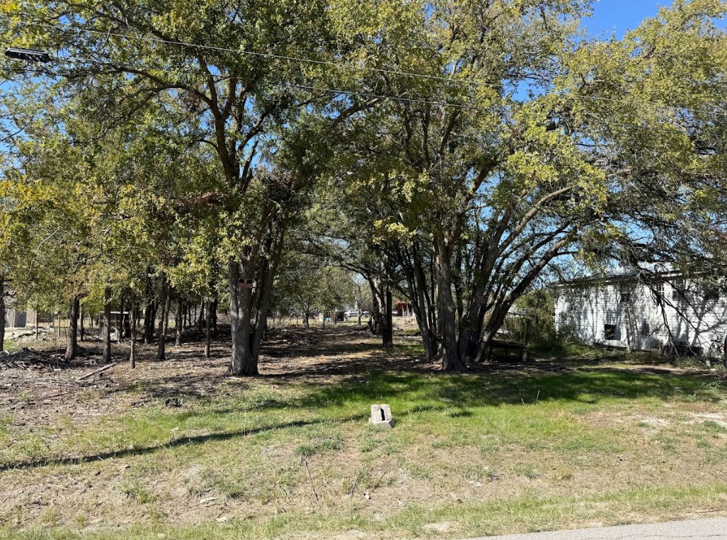 699 South Cotrell Bartlett, TX 76511 - Photo 7 of 13 a view of outdoor space with trees