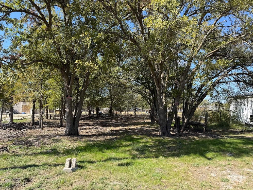 699 South Cotrell Bartlett, TX 76511 - Photo 8 of 13 Beautiful Open Lot — Build the Home You’ve Always Wanted