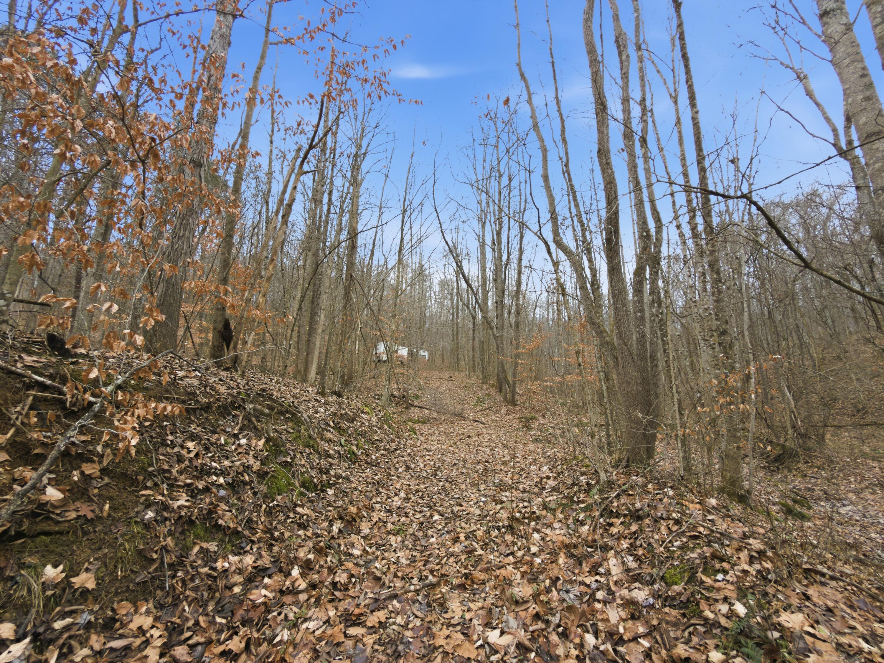 0 East Side Geer Mill Road Vinton, OH 45686 - Photo 13 of 27 IMG_4801