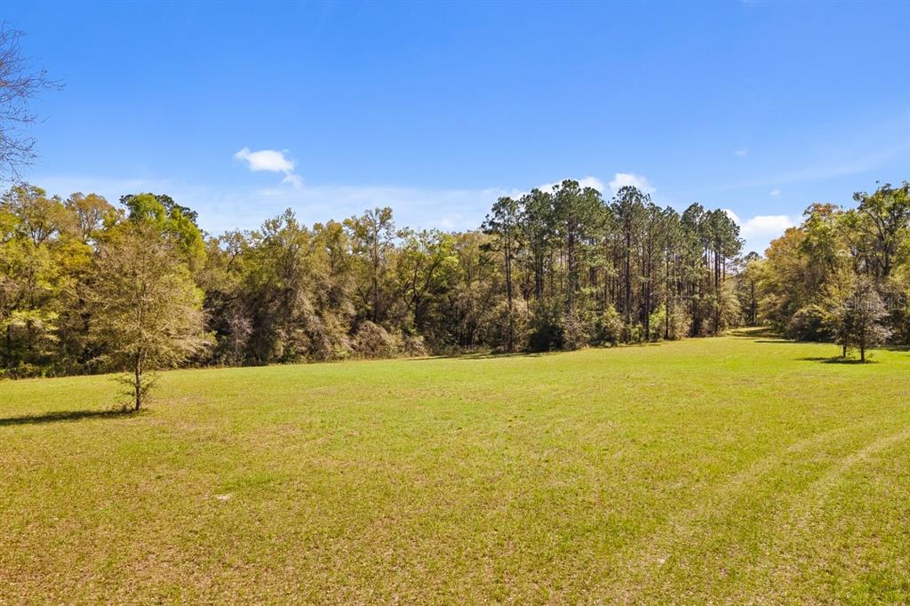 0 Southwest Little Road Lake City, FL 32024 - Photo 6 of 8