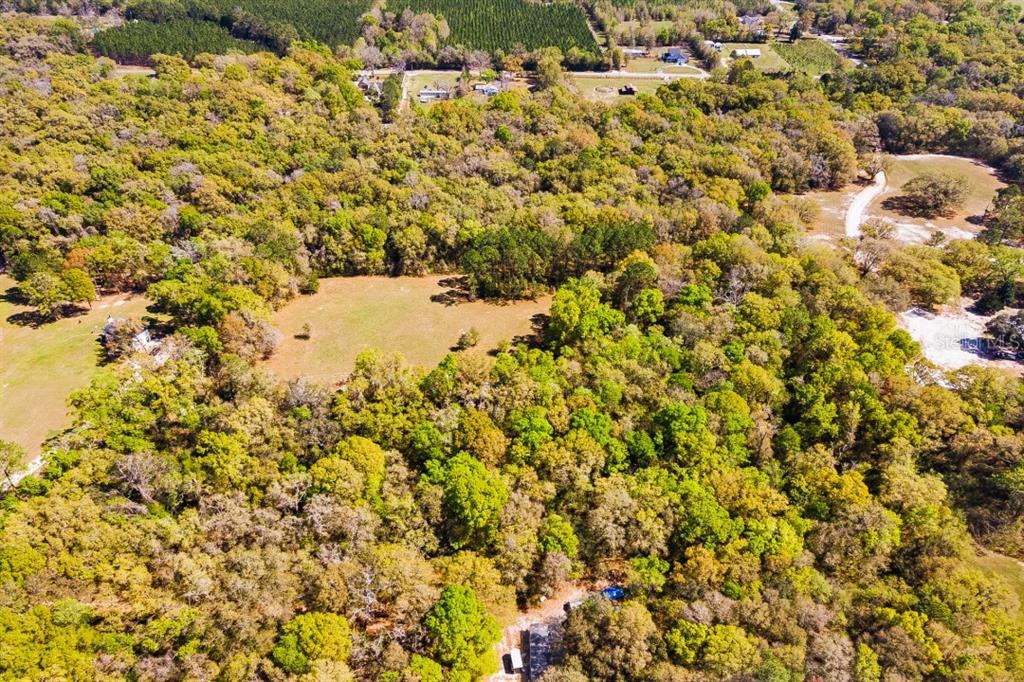 0 Southwest Little Road Lake City, FL 32024 - Photo 7 of 8