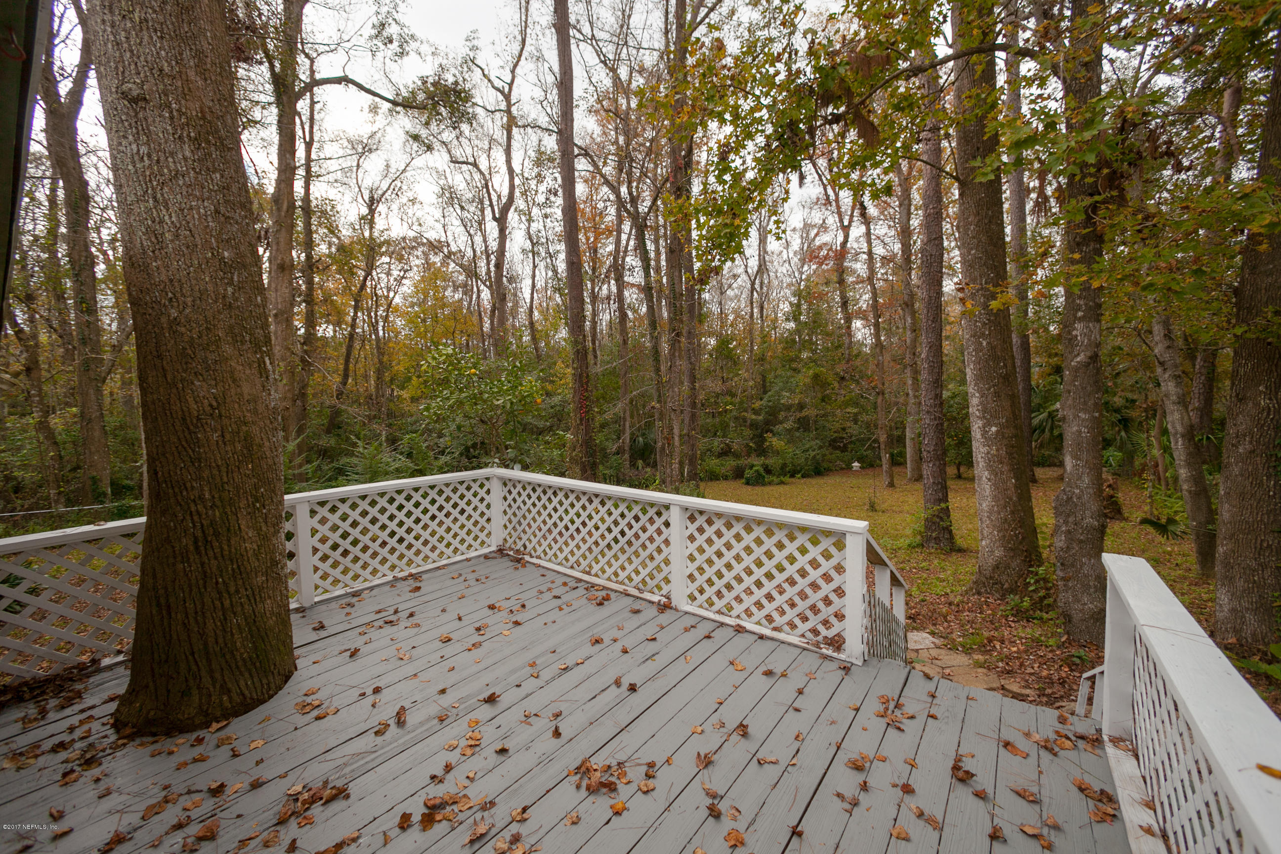 8703 Ricardo Lane Jacksonville, FL 32216 - Photo 26 of 36 Patio View 2