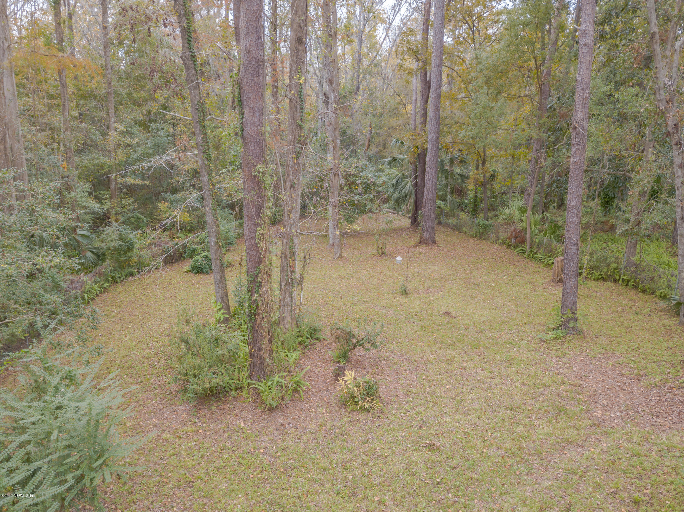 8703 Ricardo Lane Jacksonville, FL 32216 - Photo 28 of 36 Backyard