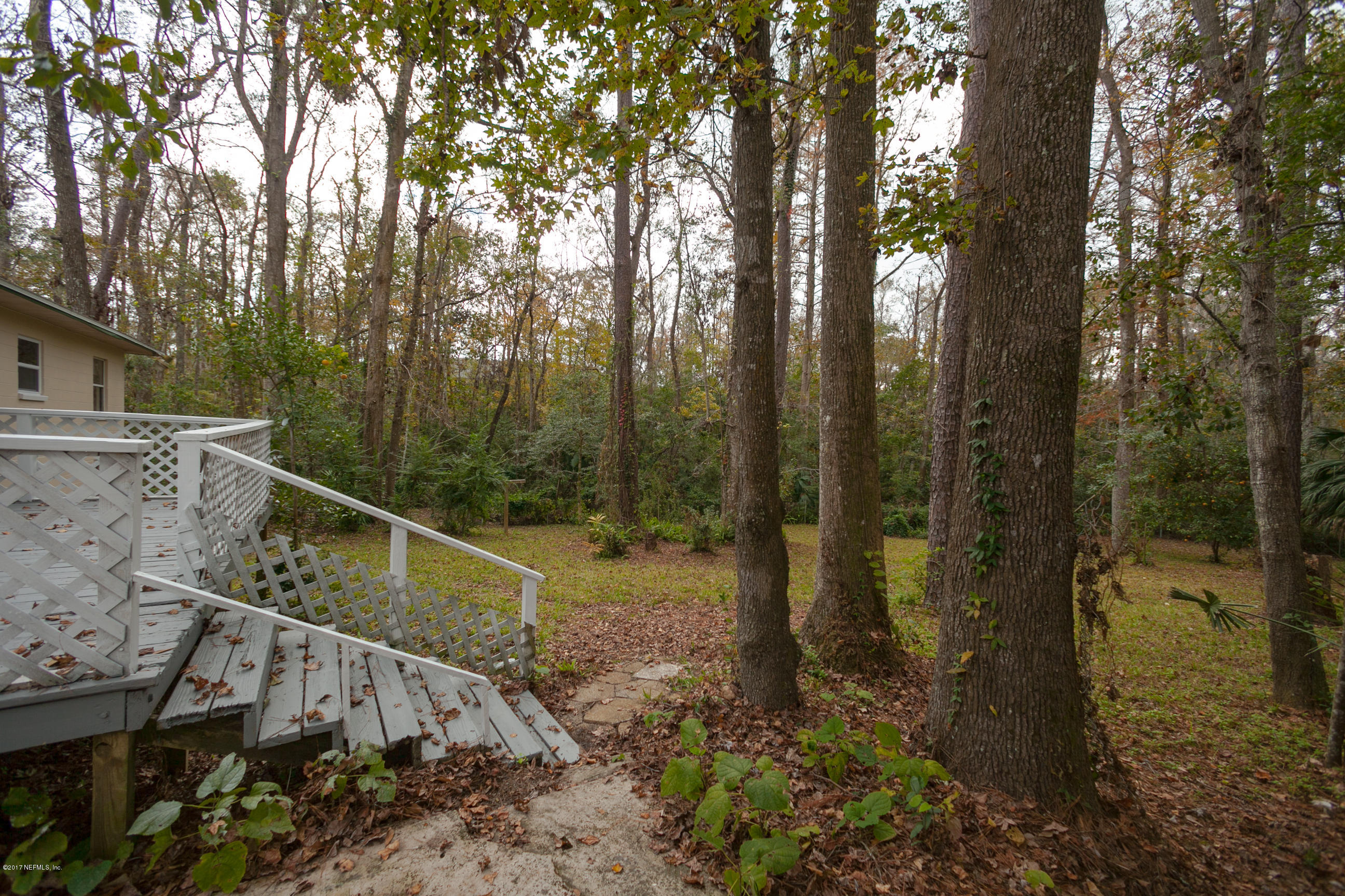 8703 Ricardo Lane Jacksonville, FL 32216 - Photo 29 of 36 Backyard View 2
