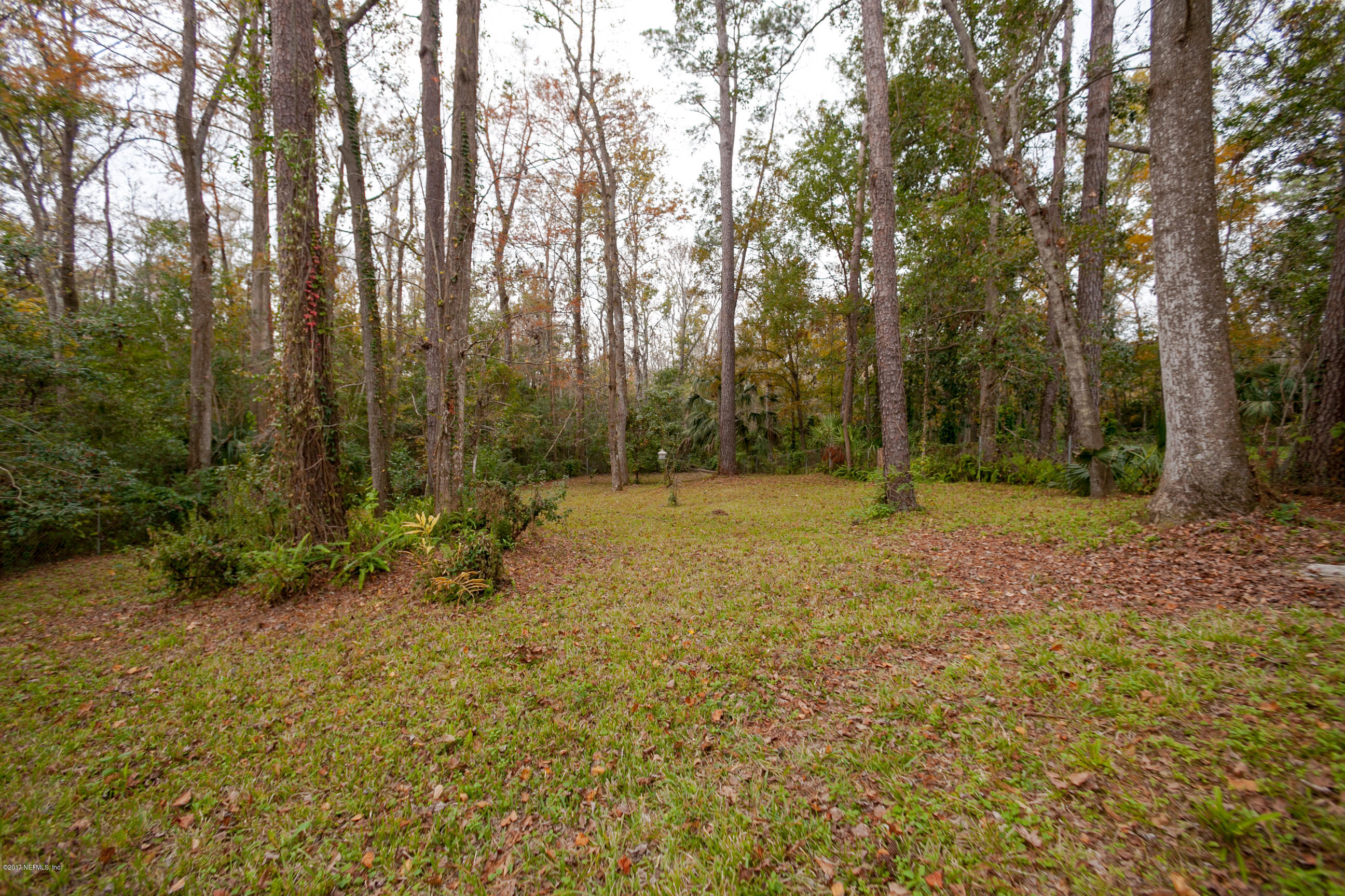 8703 Ricardo Lane Jacksonville, FL 32216 - Photo 32 of 36 Backyard View 5