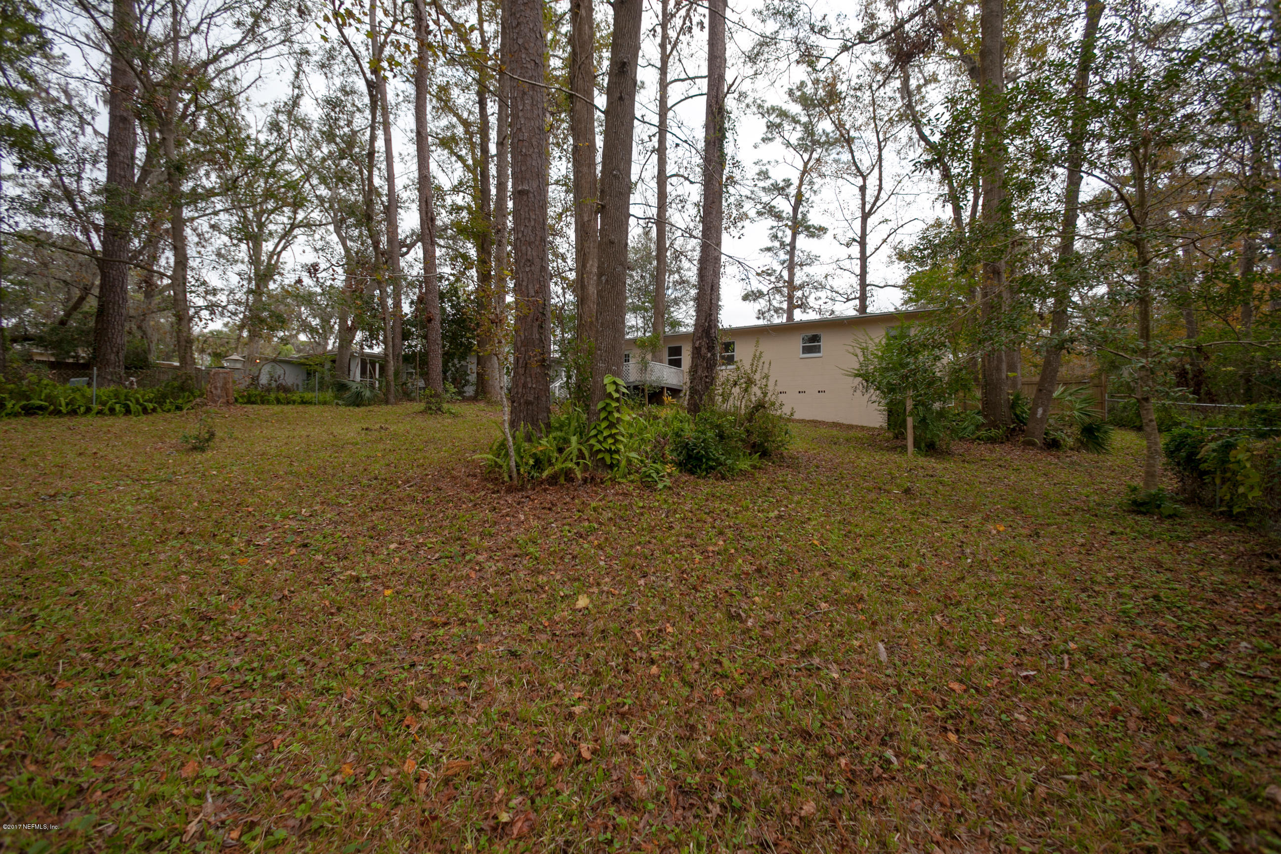 8703 Ricardo Lane Jacksonville, FL 32216 - Photo 33 of 36 Backyard View 6