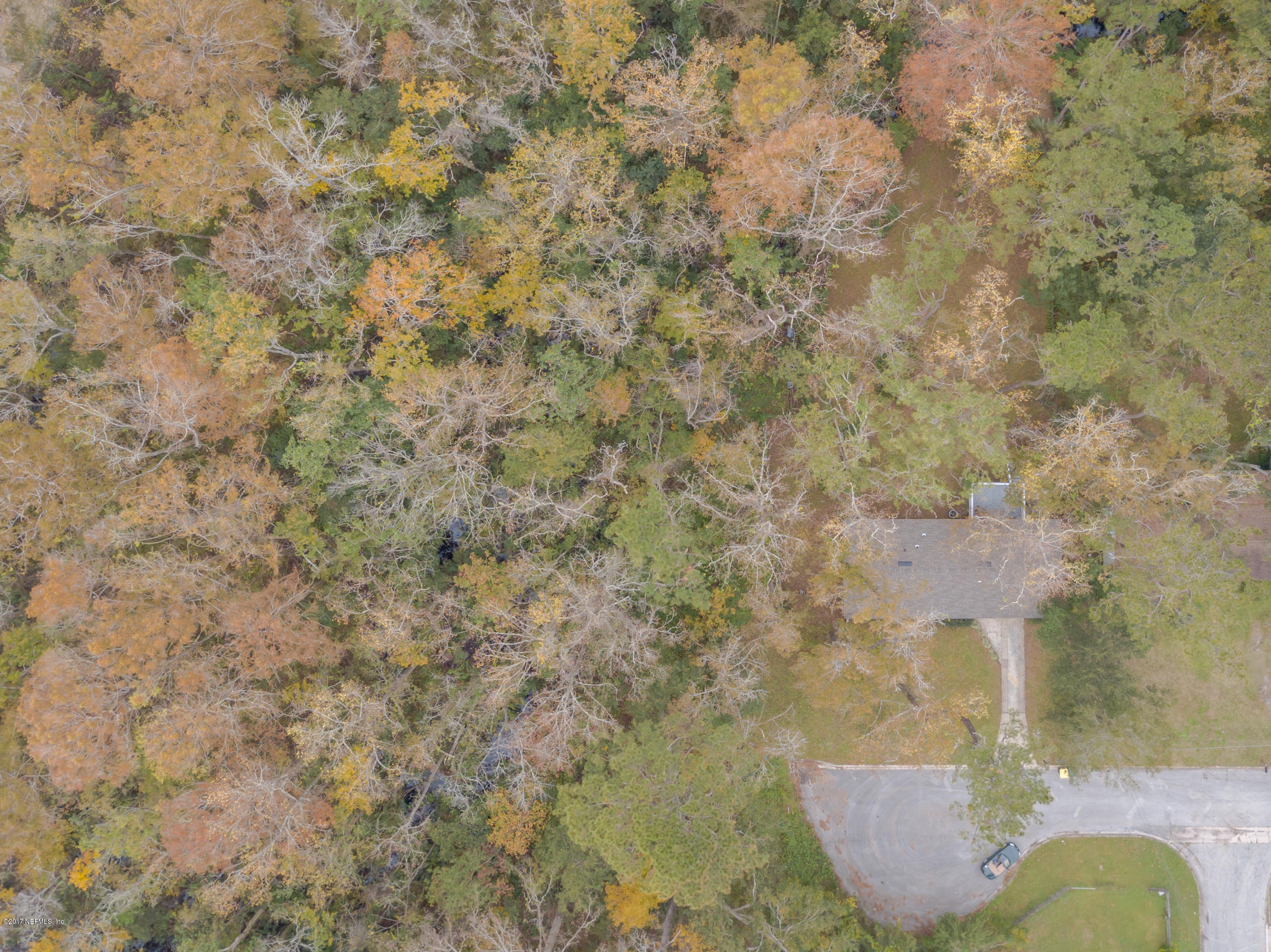 8703 Ricardo Lane Jacksonville, FL 32216 - Photo 35 of 36 Top Down