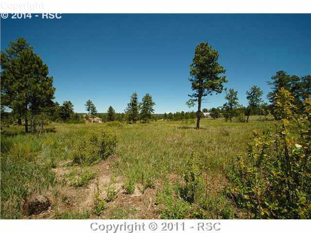 5520 Jason Road Colorado Springs, CO 80908 - Photo 4 of 4 Trees and meadow facing south and east on the lot.