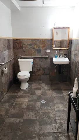 a bathroom with a toilet a sink and mirror