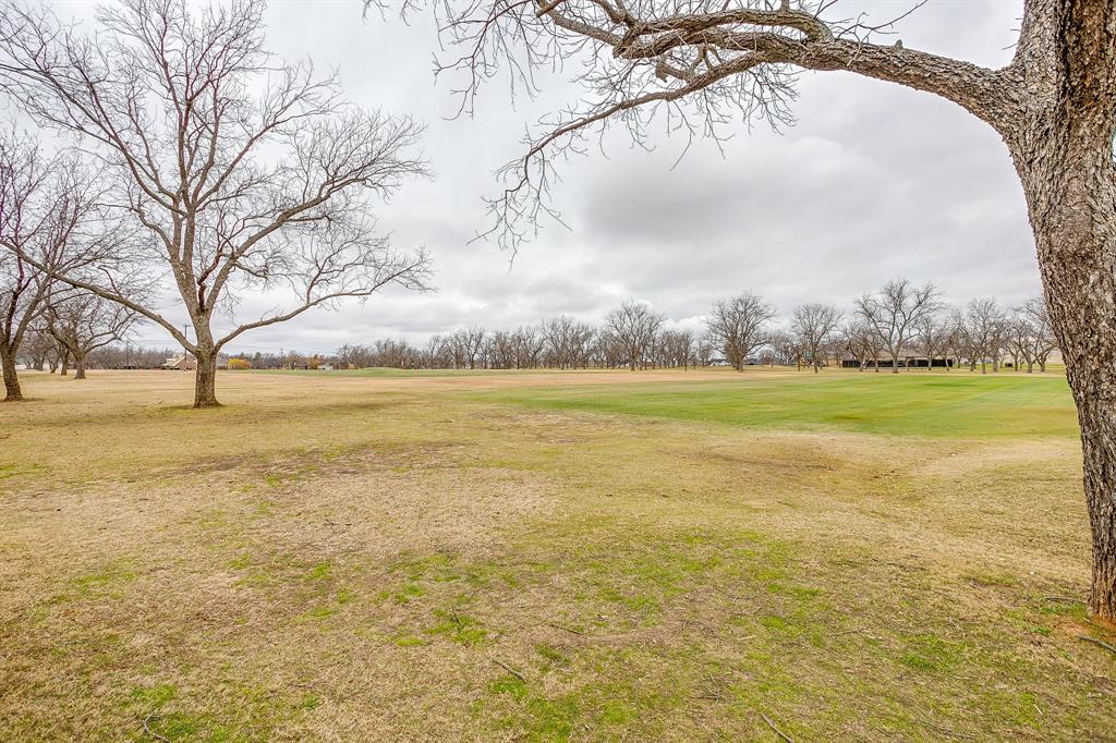 9314 Bellechase Road Granbury, TX 76049 - Photo 26 of 26 a view of an ocean and trees