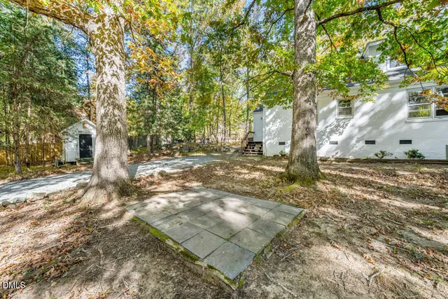 a view of a yard with plants and trees