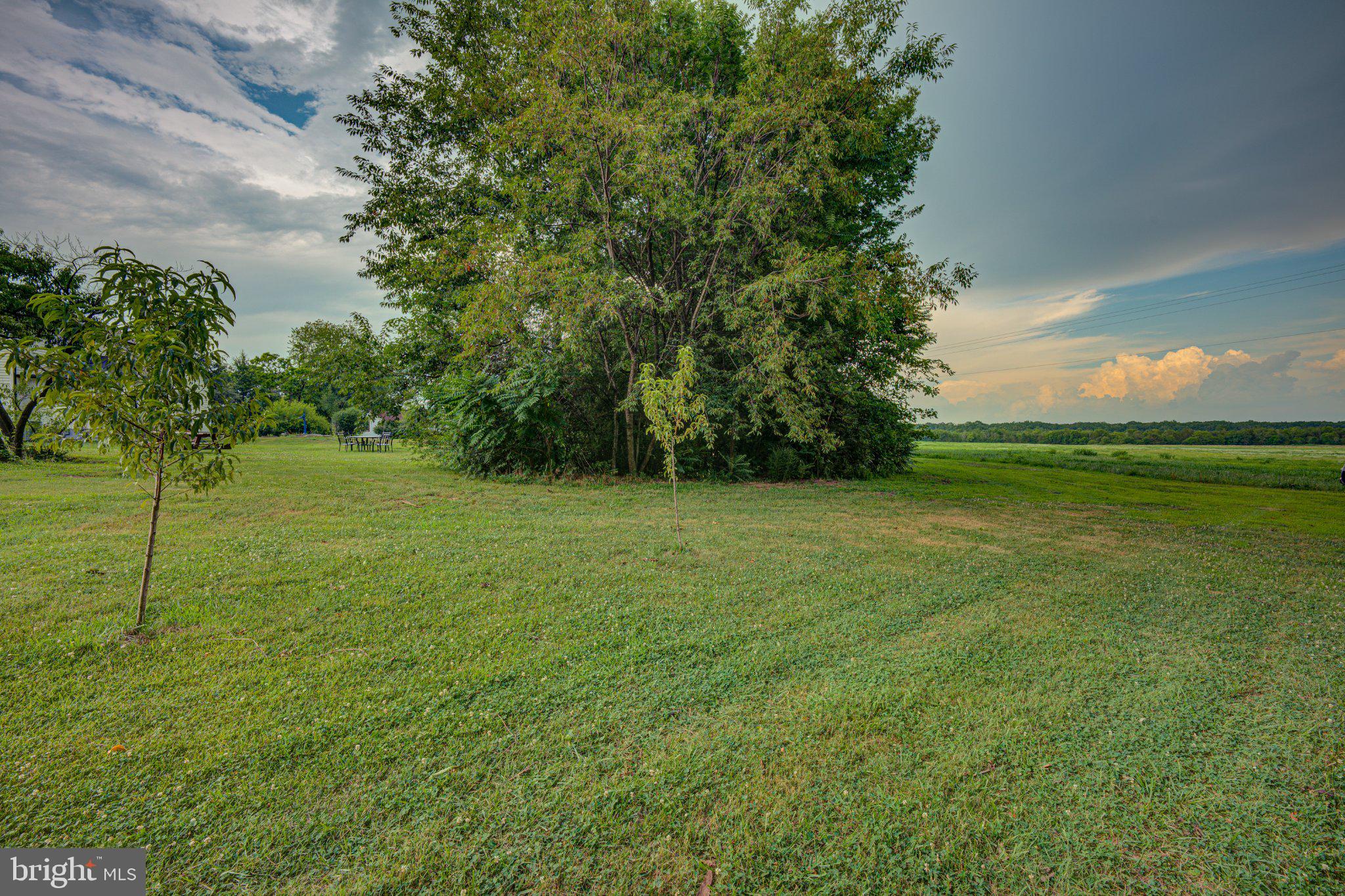 24177 Rapidan Road Mitchells, VA 22729 - Photo 37 of 43 Lush green expanse under a vast sky.