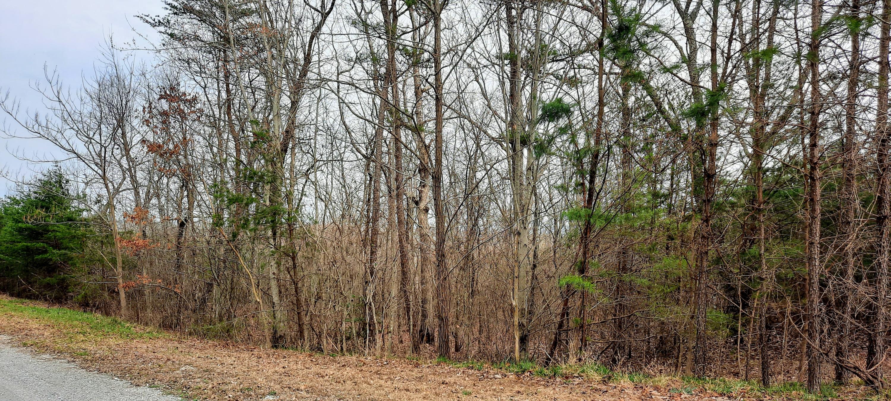 5.30-ac Forest Knoll Road Dunlap, TN 37327 - Photo 12 of 13 5 acres 12