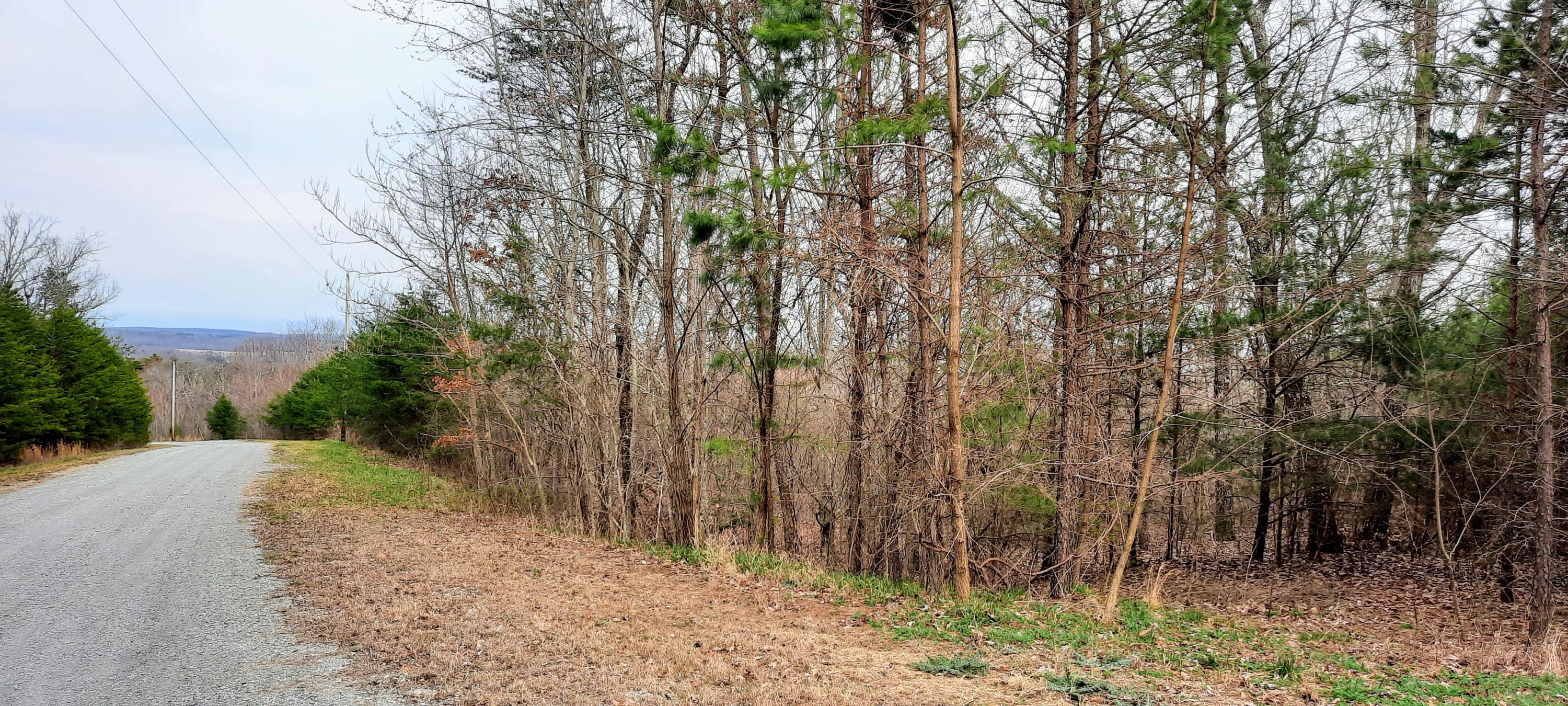5.30-ac Forest Knoll Road Dunlap, TN 37327 - Photo 3 of 13 5 acres 3
