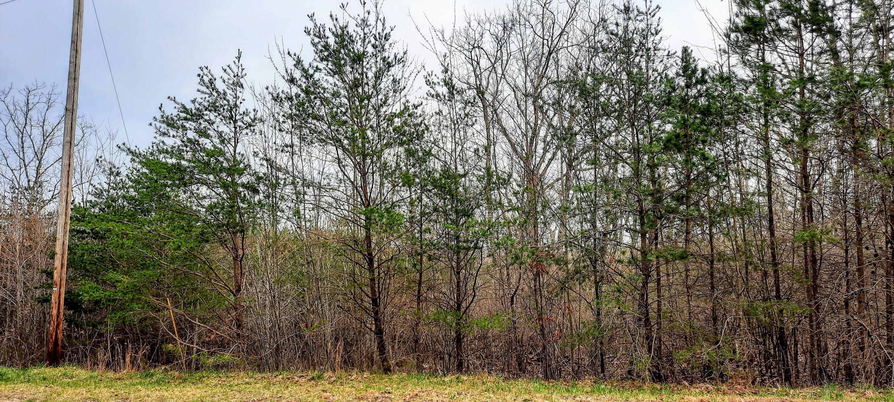 5.30-ac Forest Knoll Road Dunlap, TN 37327 - Photo 5 of 13 5 acres 5