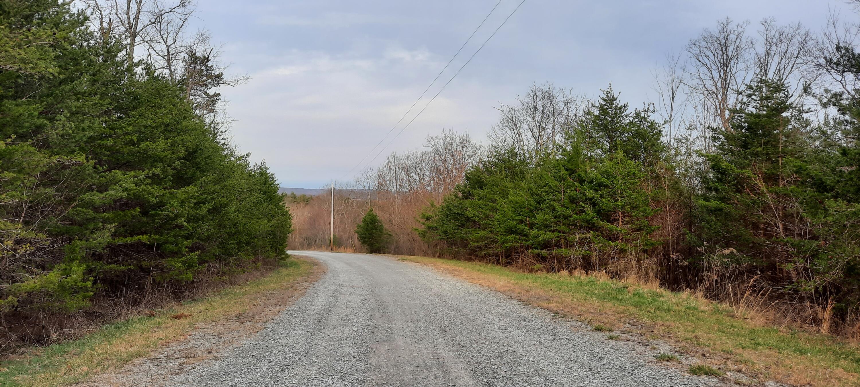 5.30-ac Forest Knoll Road Dunlap, TN 37327 - Photo 6 of 13 5 acres 6