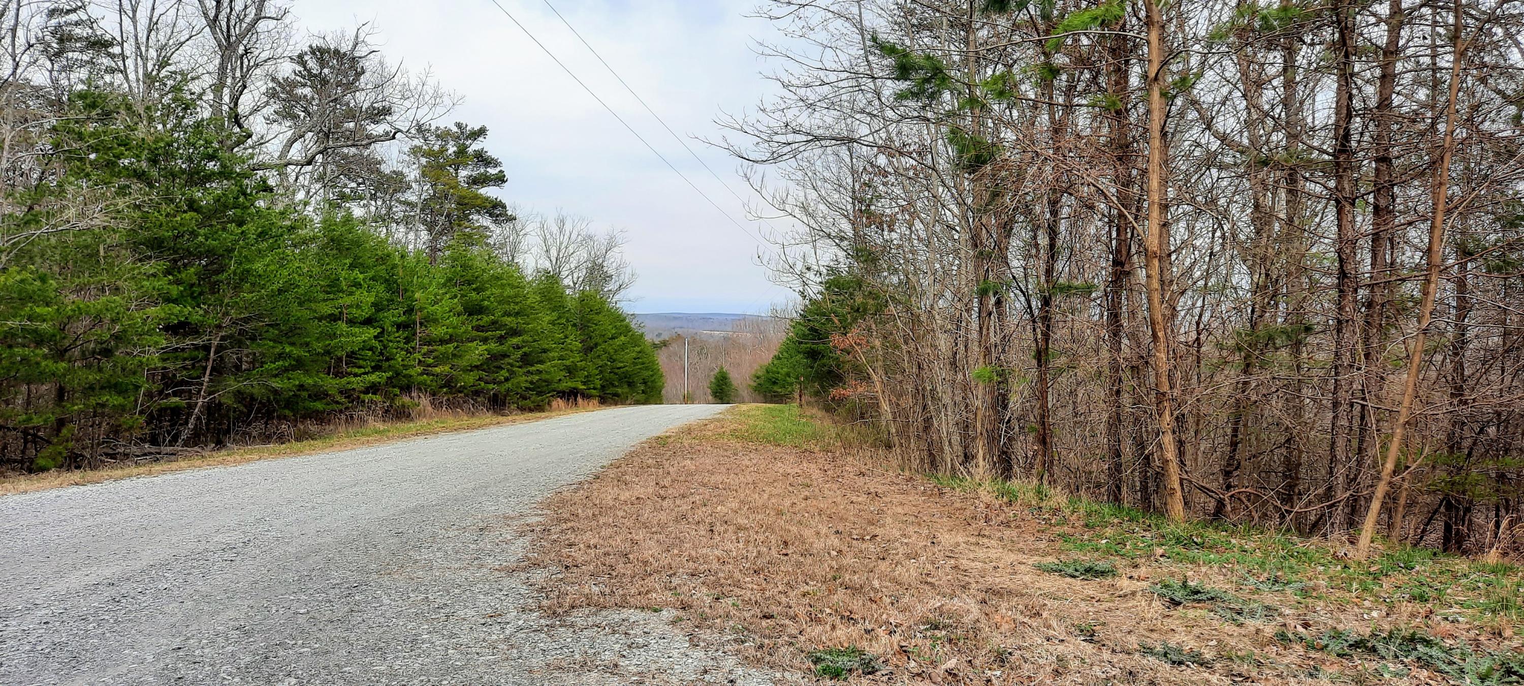 5.30-ac Forest Knoll Road Dunlap, TN 37327 - Photo 8 of 13 5 acres 8