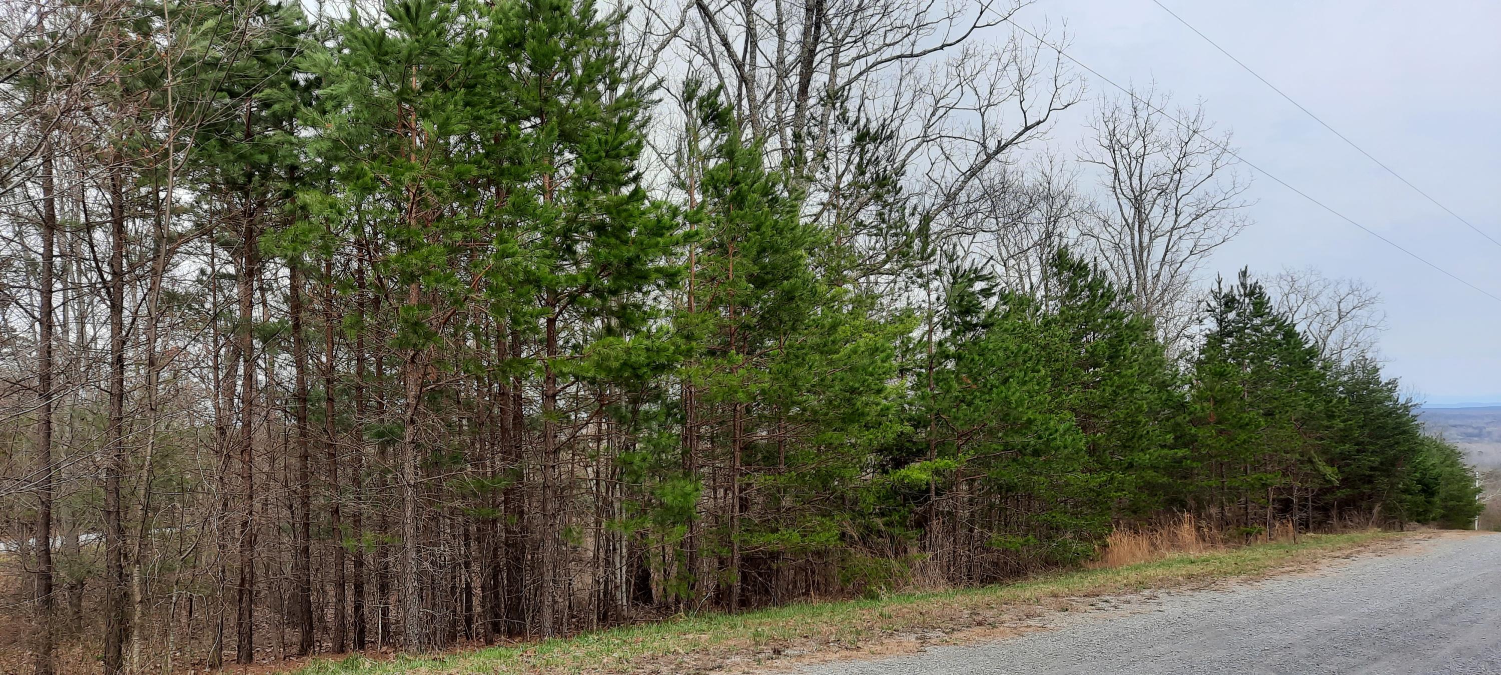 5.30-ac Forest Knoll Road Dunlap, TN 37327 - Photo 9 of 13 5 acres 9