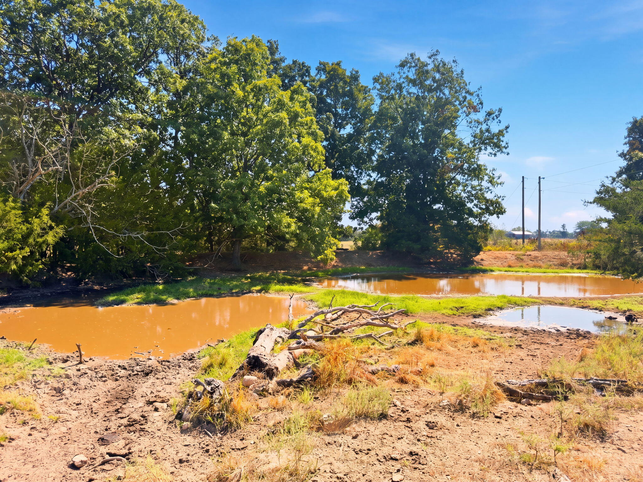 3723 Weaver Road Grovespring, MO 65662 - Photo 31 of 79 India Visser 3723 Weaver (53)