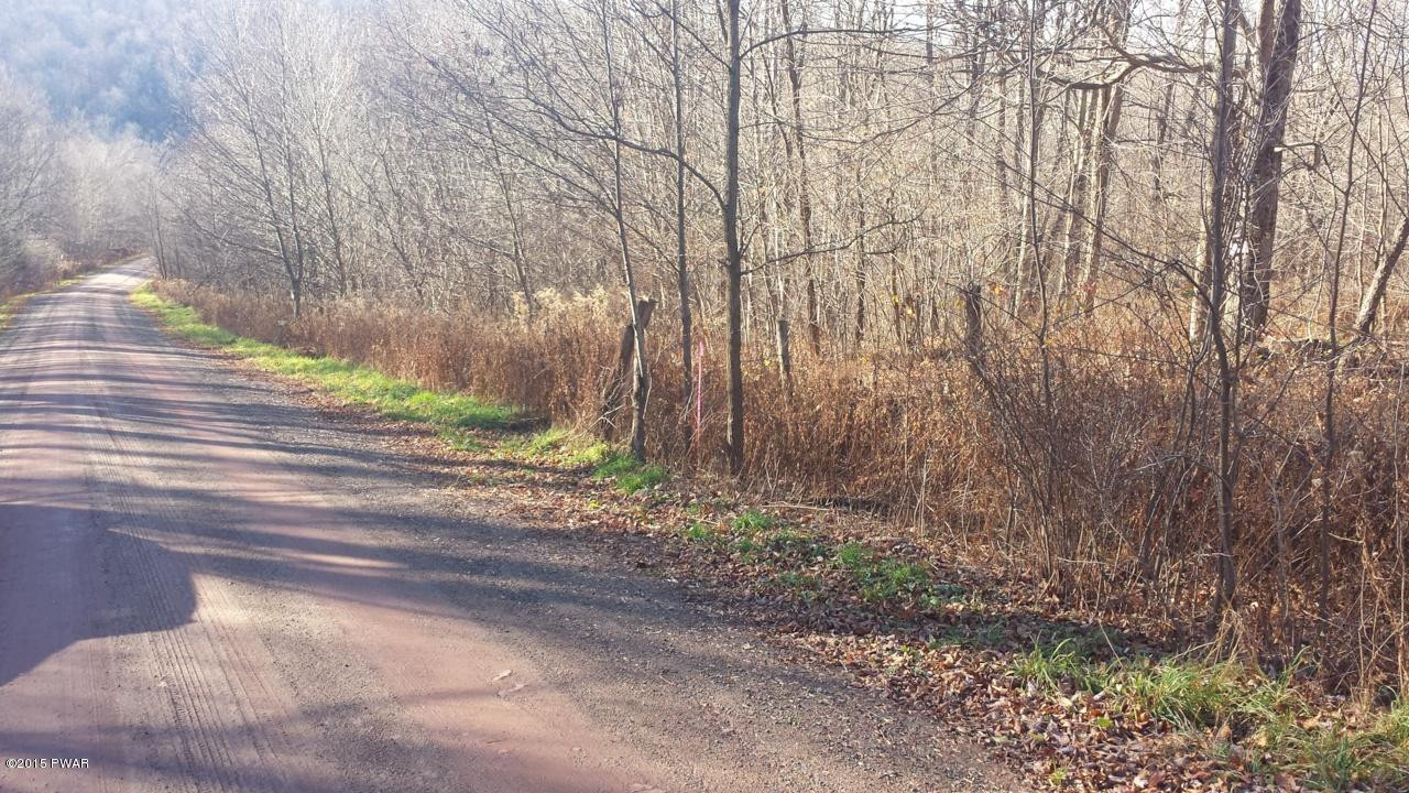 Siko Road Honesdale, PA 18431 - Photo 5 of 9