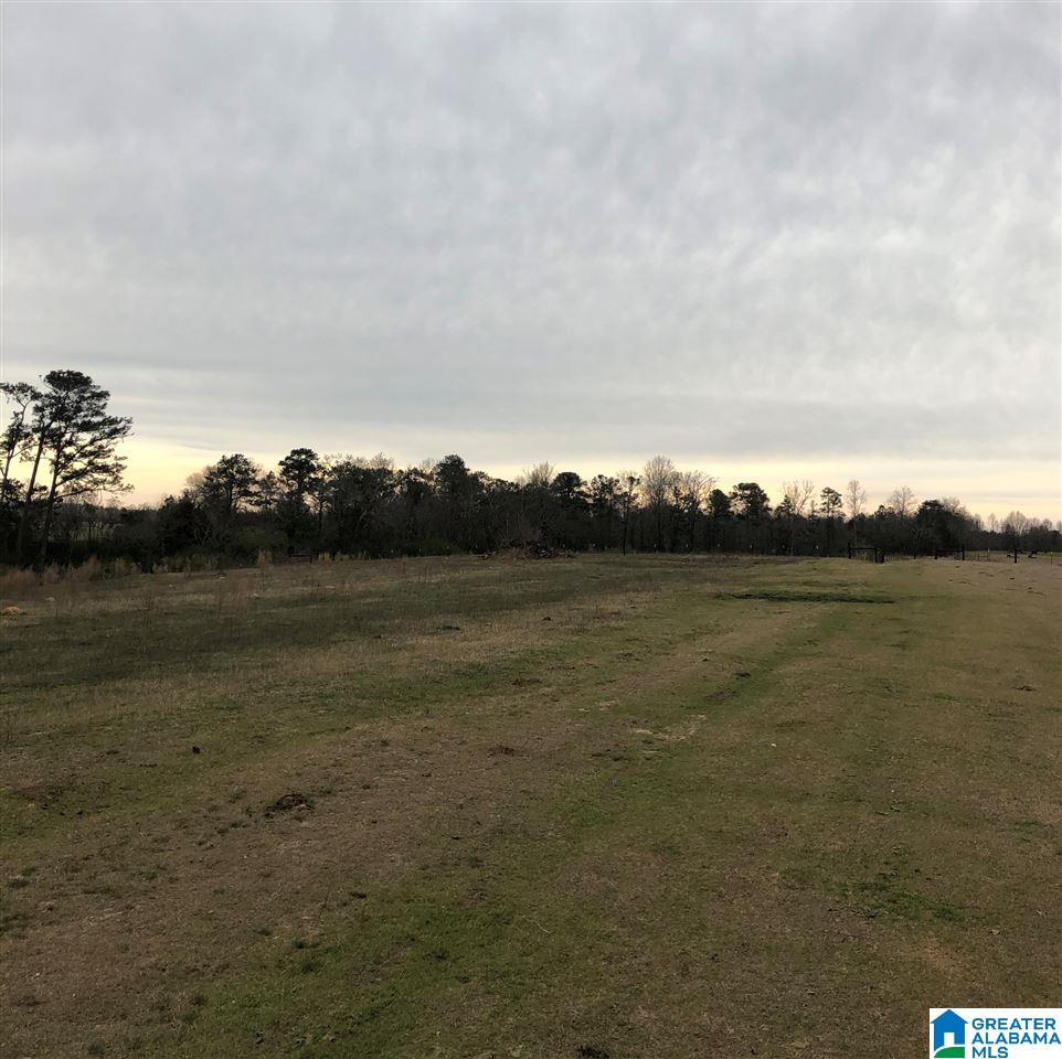0 County Road 30, Unit 1 Clanton, AL 35045 - Photo 10 of 32