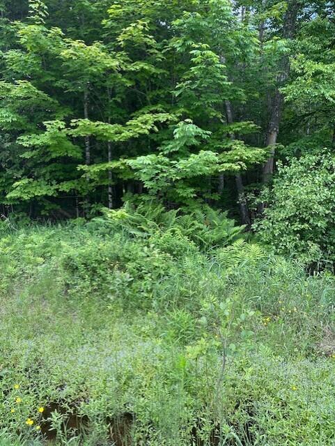 3-3-a Avenue Road Corinth, ME 04427 - Photo 1 of 6 AvenueRd 1