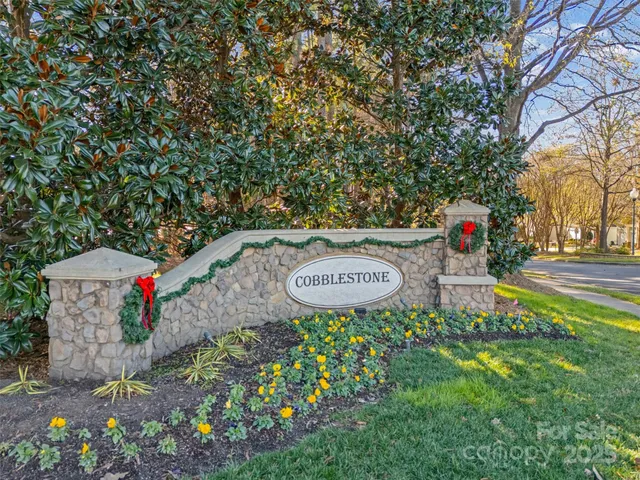 an aerial view of a house with a yard and potted plants