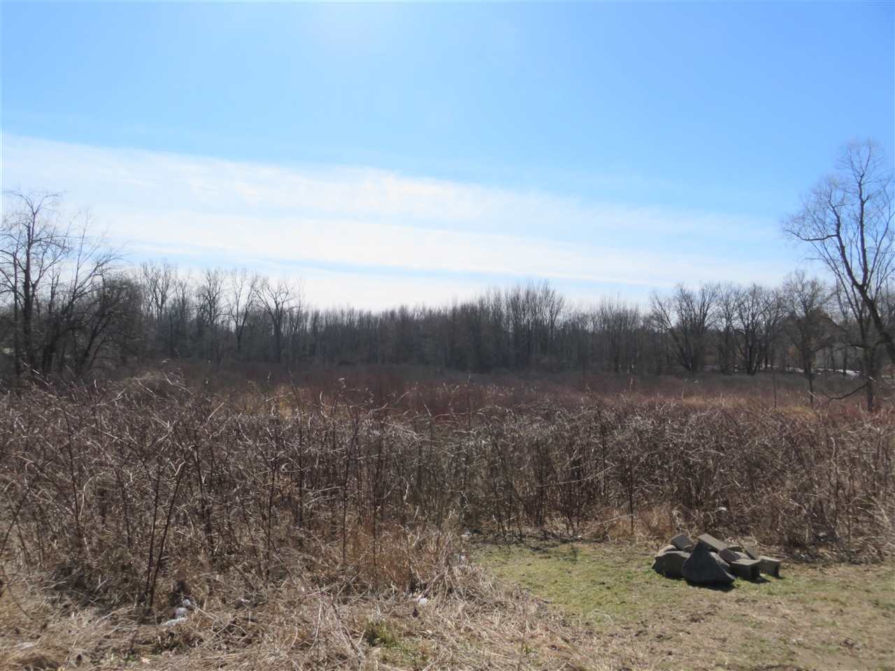 0 West Beard Road Perry, MI 48872 - Photo 2 of 4