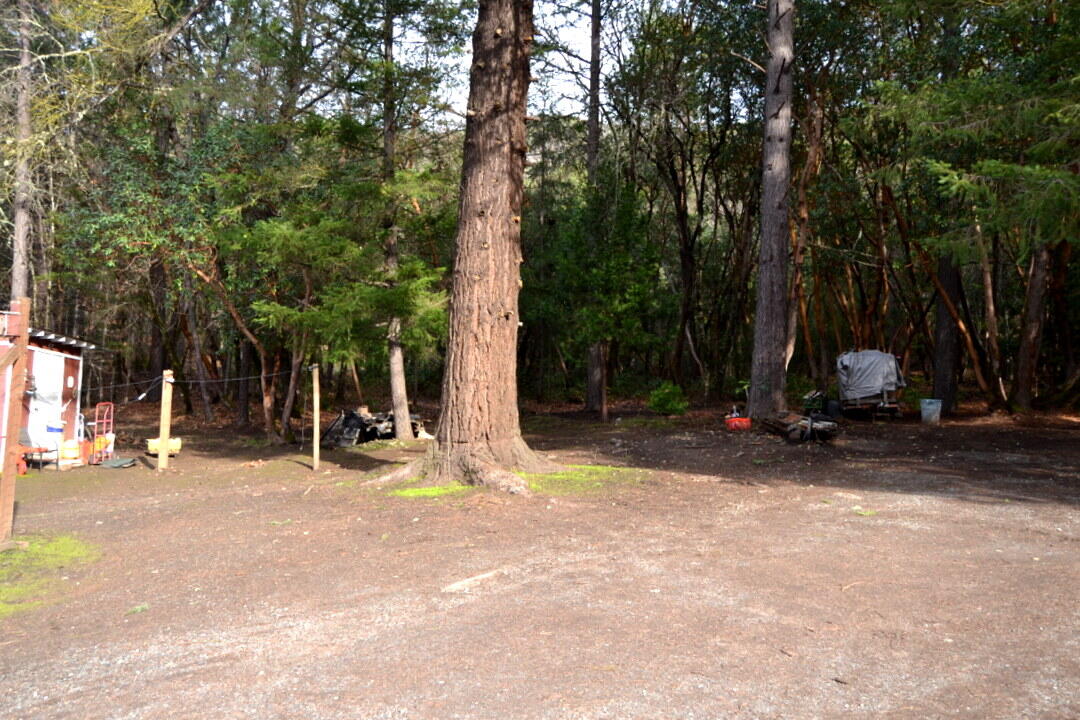 4860 North River Road Gold Hill, OR 97525 - Photo 23 of 27 DSC_3945