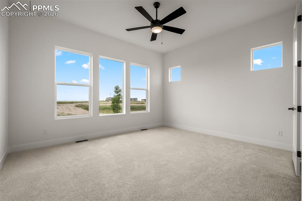 6571 Arabesque Loop Colorado Springs, CO 80924 - Photo 21 of 45