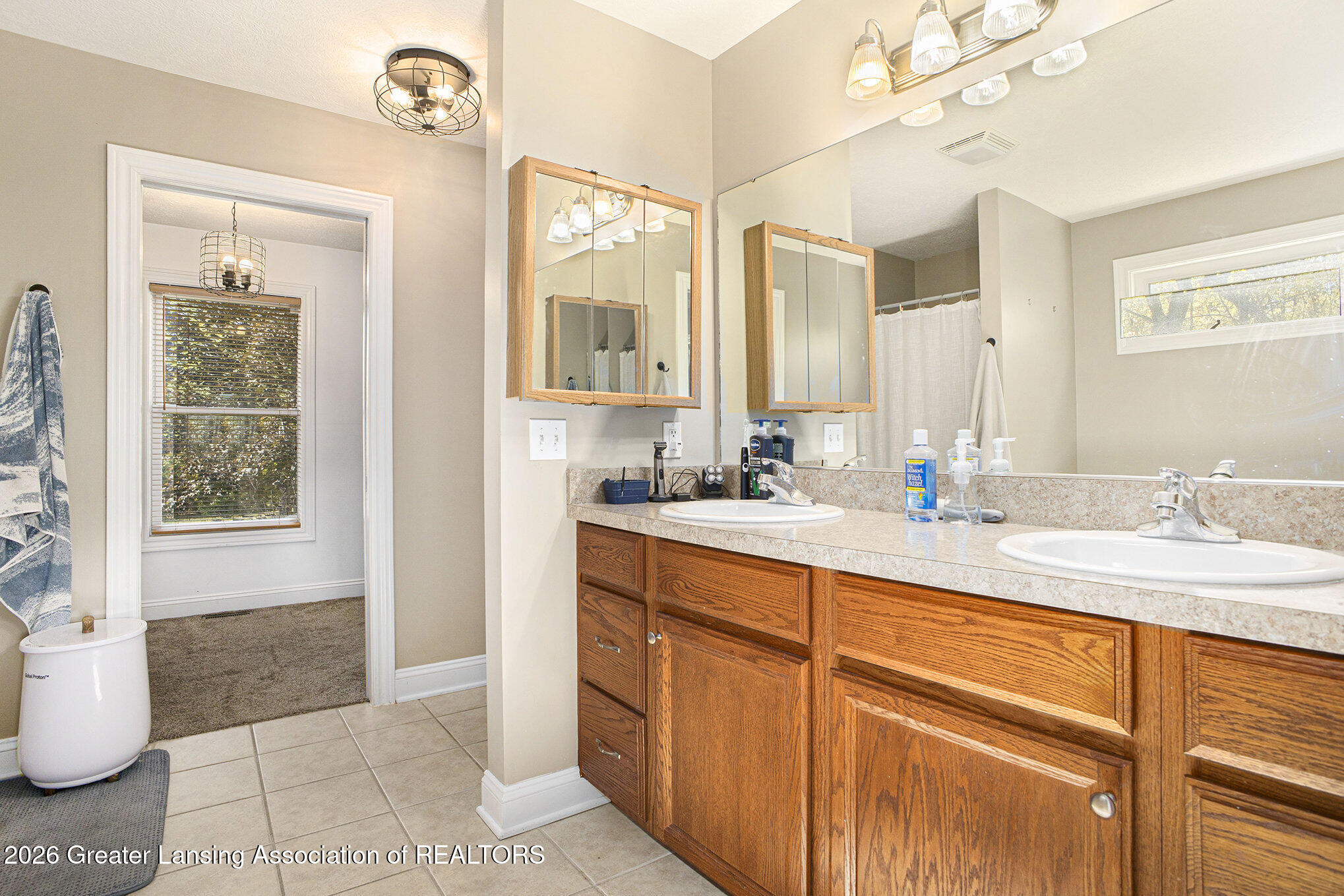 1206 North Waverly Road Dimondale, MI 48821 - Photo 14 of 30 016_file_49
