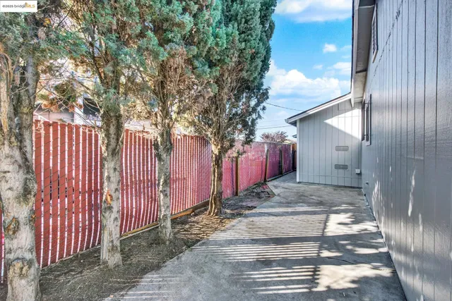a view of a park with large trees