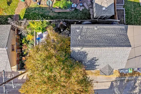 a grassy field with trees in the background