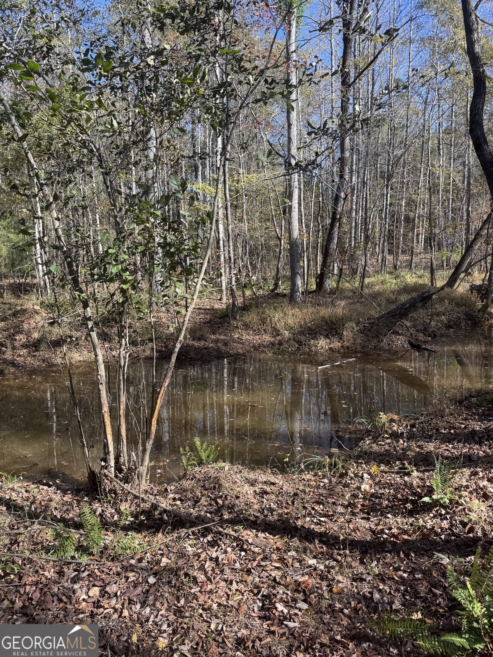 157 West Drummond Road West Point, GA 31833 - Photo 5 of 8