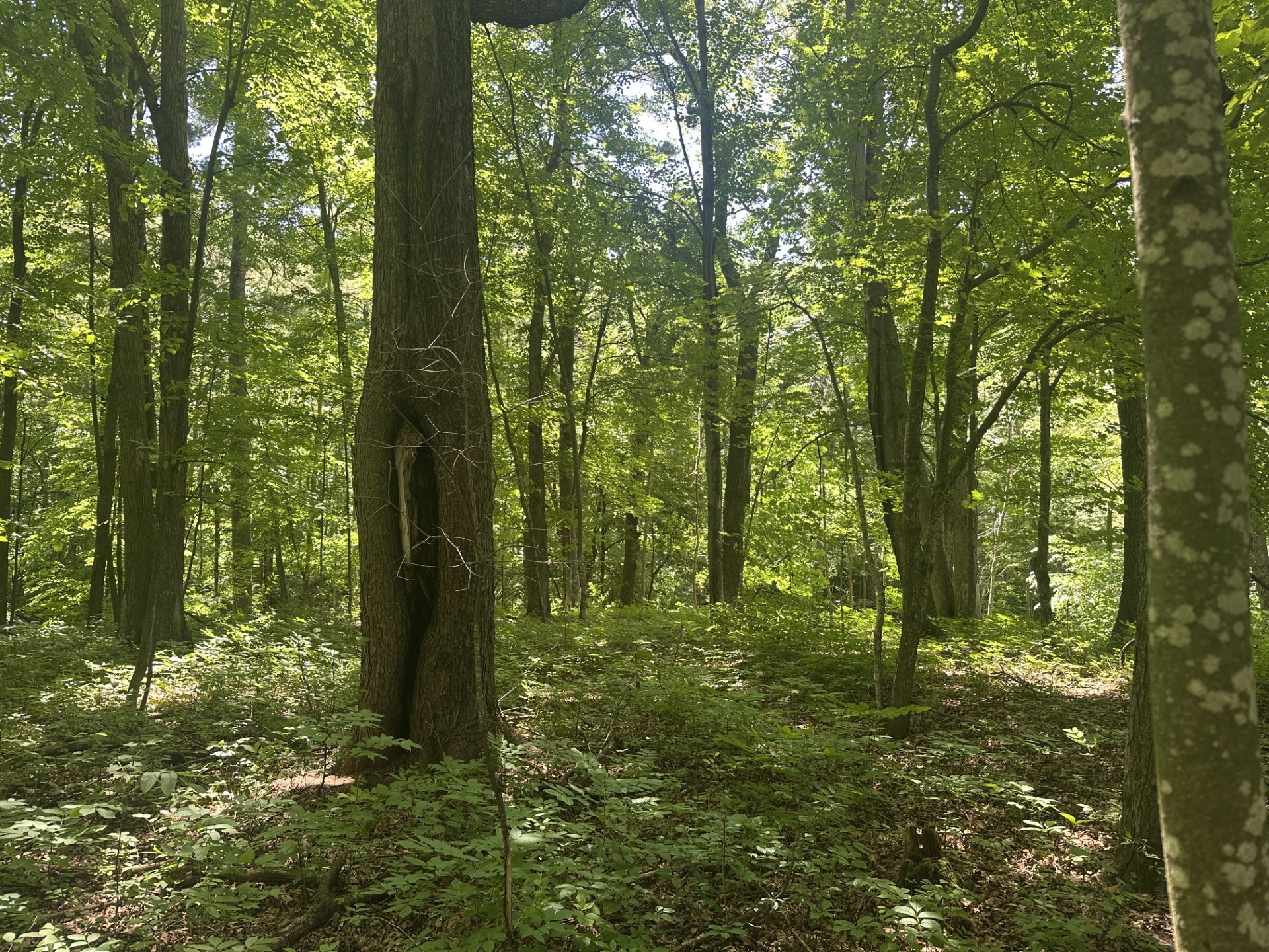 Lot 1 Becker Road Eau Claire, WI 54703 - Photo 1 of 3