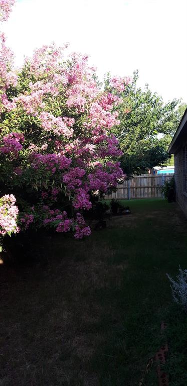 2708 Stockton Street Denton, TX 76209 - Photo 34 of 40 a view of a house with a garden
