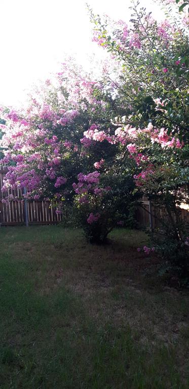 2708 Stockton Street Denton, TX 76209 - Photo 35 of 40 a view of outdoor space and yard