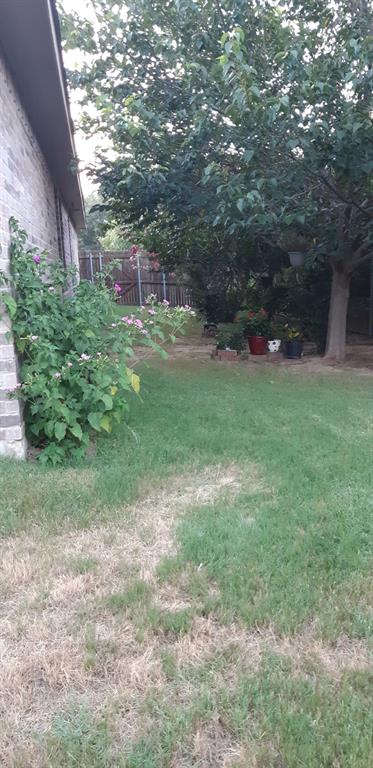 2708 Stockton Street Denton, TX 76209 - Photo 39 of 40 a view of a tree in a yard