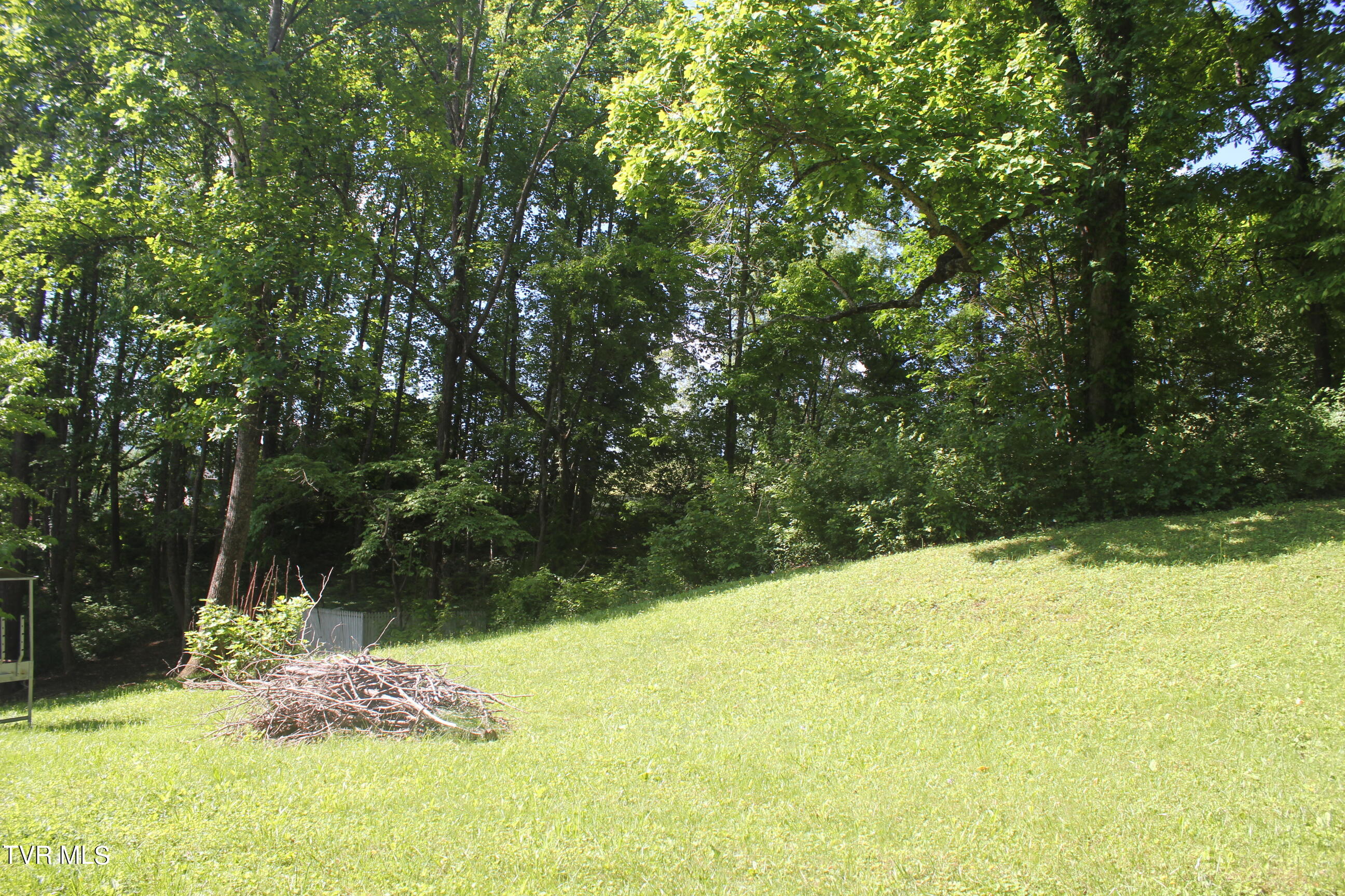 101 Knobb Hill Road, Unit 45 Johnson City, TN 37601 - Photo 2 of 3 IMG_7438