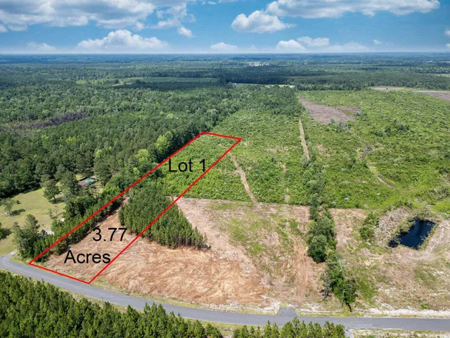 $72,000 | Tbd Bellaire Drive, Nichols, SC 29581