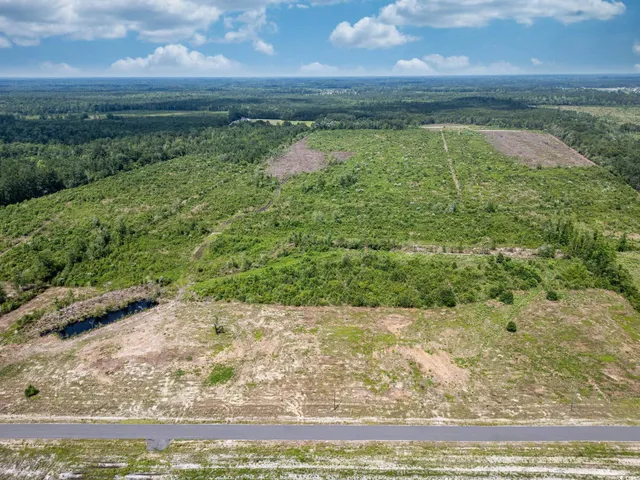 $72,000 | Tbd Bellaire Drive, Nichols, SC 29581