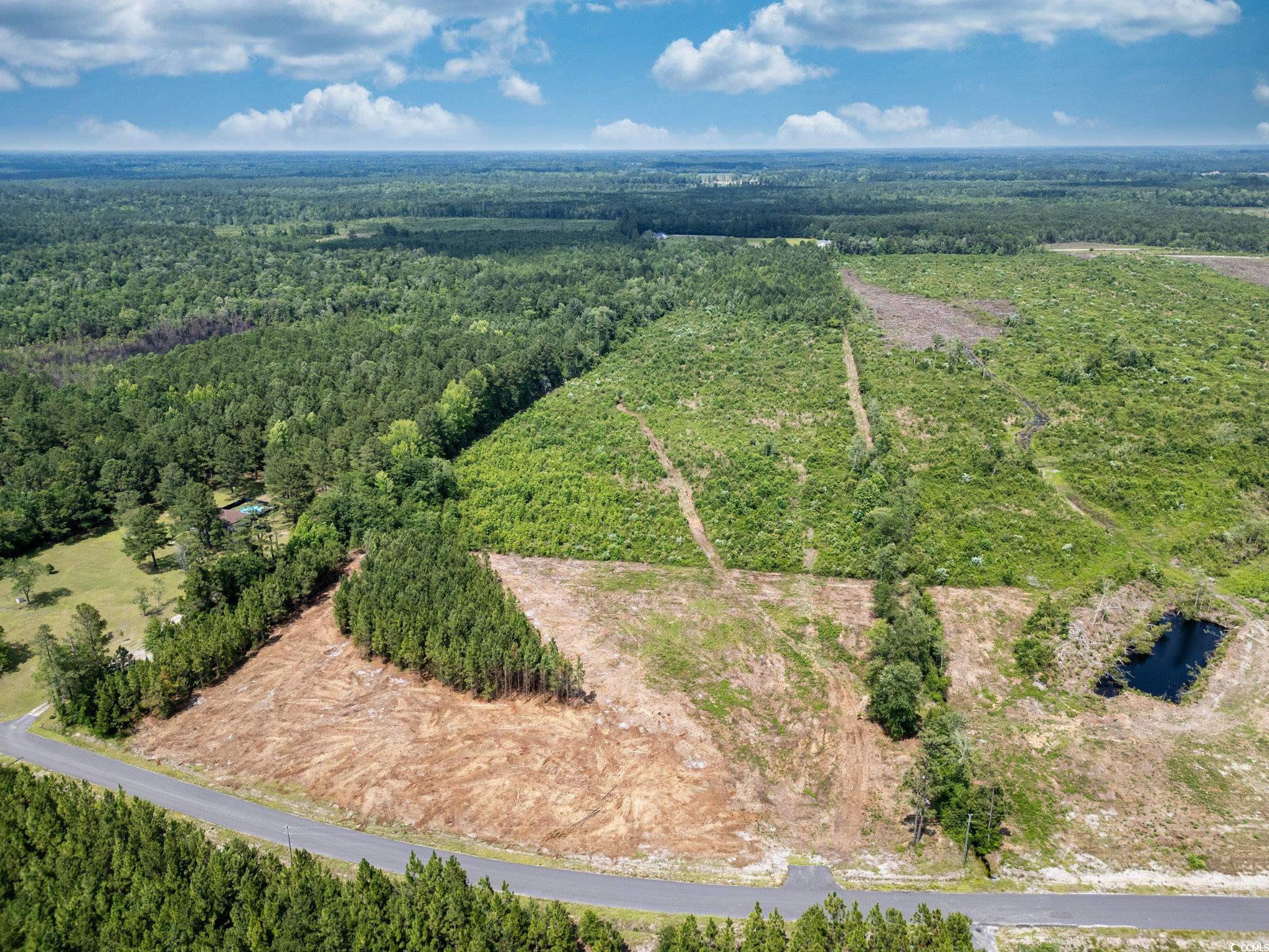 Tbd Bellaire Drive Nichols, SC 29581 - Photo 7 of 8 Drone / aerial view of a forest
