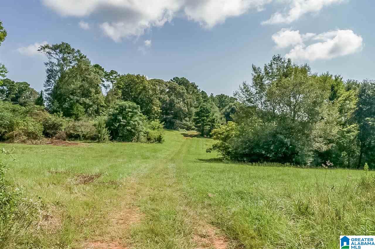 5705 Mays Bend Road Pell City, AL 35128 - Photo 39 of 50