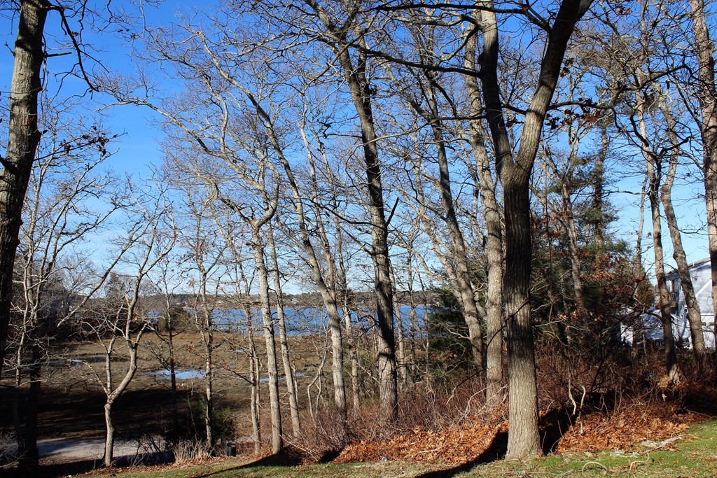 35 Catskill Road Bourne, MA 02532 - Photo 7 of 42